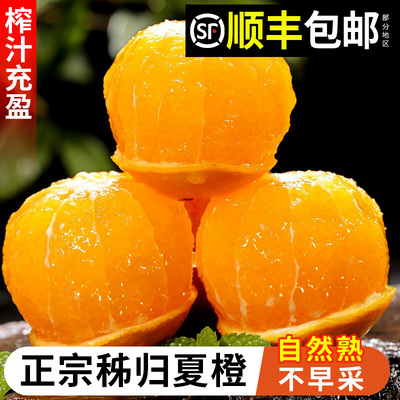 正宗夏橙新鲜酸甜无渣爆汁