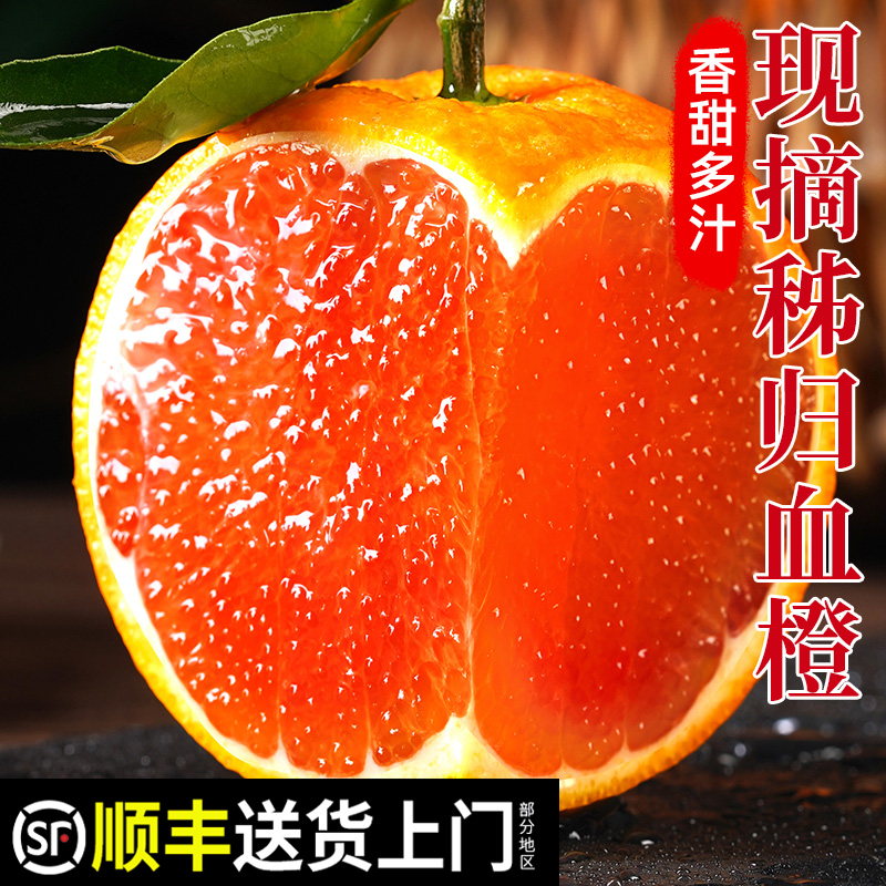 【橙中贵族】中华红血橙！