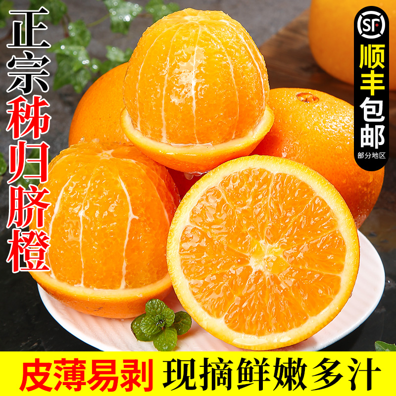 湖北秭归脐橙现摘现发香甜多汁