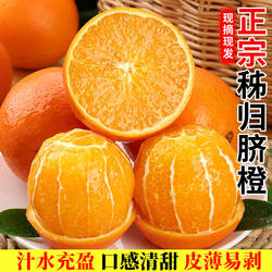 秭归脐橙新鲜时令水果甜橙赣爱南媛10冰糖果冻斤手剥包邮脐橙整箱