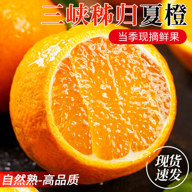 夏橙湖北秭归当季新鲜正宗薄皮水果孕妇商超批发多汁甜橙榨汁专用