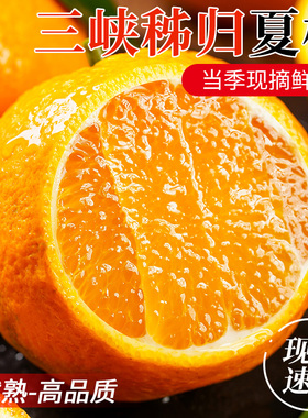 夏橙湖北秭归当季新鲜正宗薄皮水果孕妇商超批发多汁甜橙榨汁专用