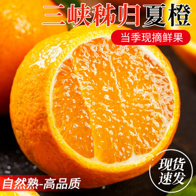 正宗夏橙新鲜纯甜爆汁新鲜采摘