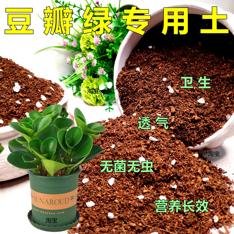 彤巷基地配方土干净透气营养足