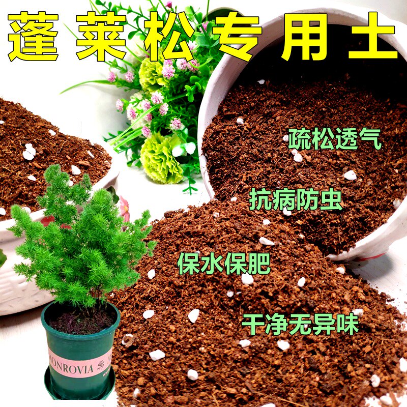 蓬莱松专用土松叶文竹盆栽营养土室内绿植花卉通用型有机土促销