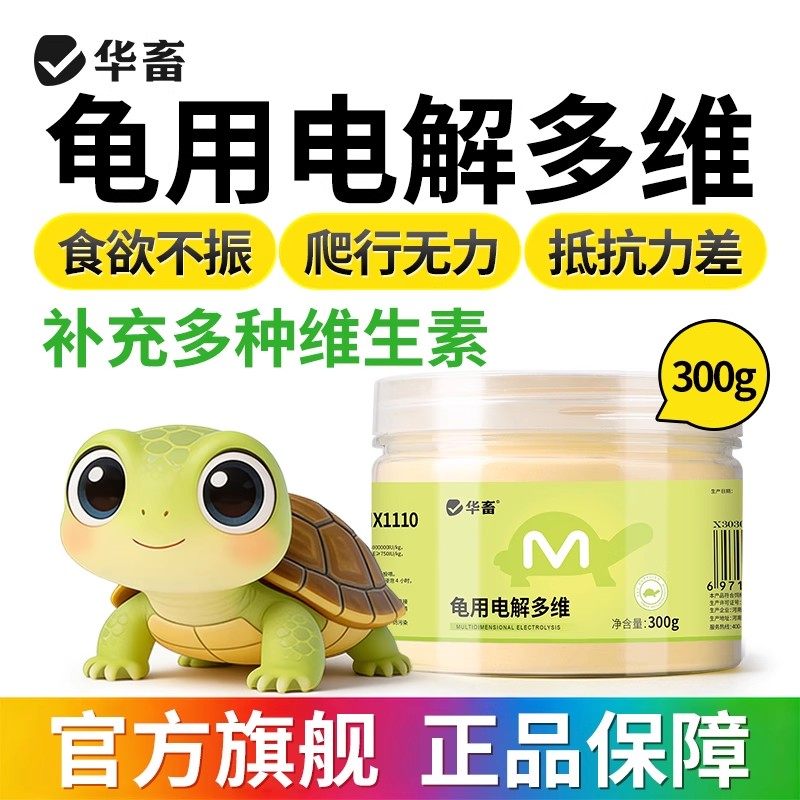 好养小型可爱稀罕宠物