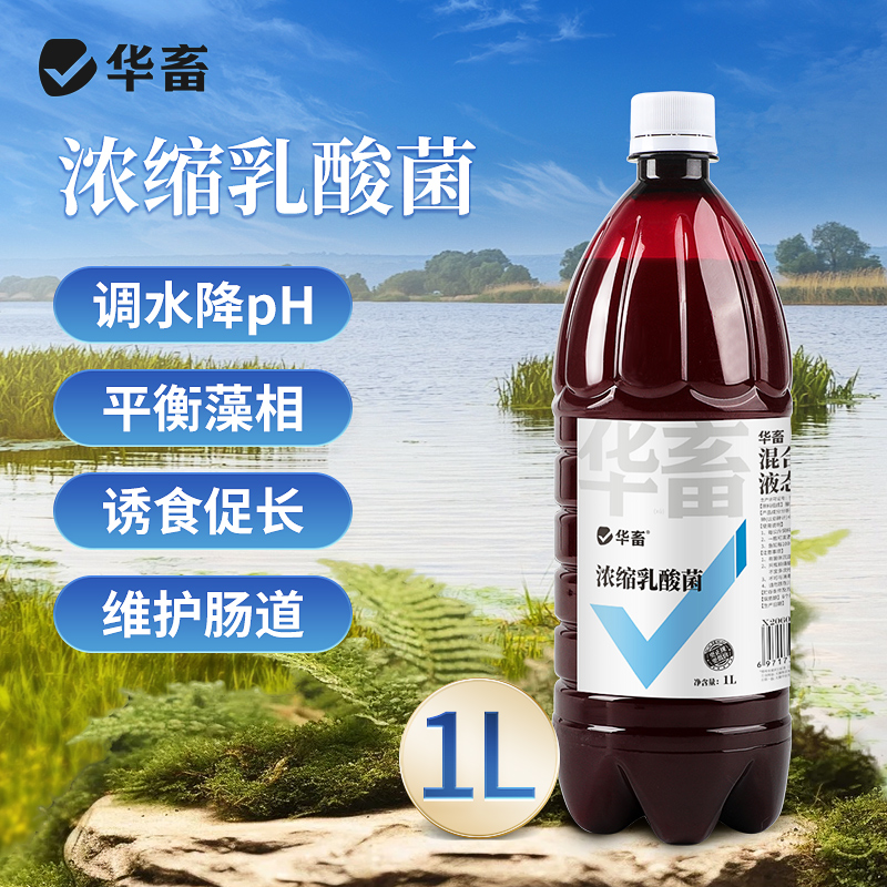 华畜浓缩乳酸菌水产养殖专用菌种鱼塘虾蟹塘鱼缸水族净水调节肠道