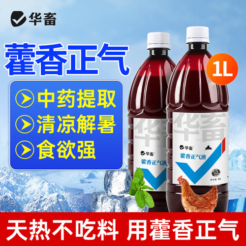 华畜藿香液兽用降温解暑液