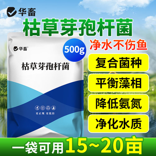 华畜枯草芽孢杆菌菌种水产养殖专用菌原种菌粉虾蟹塘活菌em益生菌