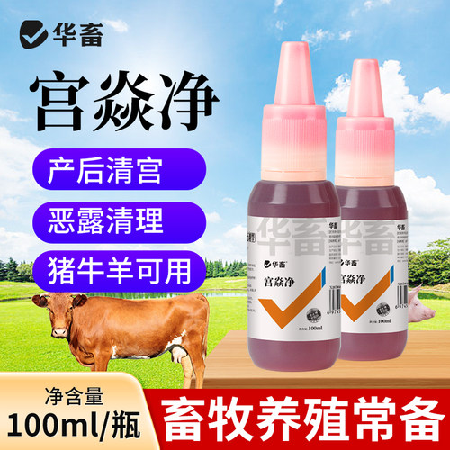 华畜兽用宫炎净母猪清宫液