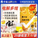 华畜电解多维兽用维生素鱼肝油鸟禽猪牛羊芦丁鸡乌龟水产微量元 素