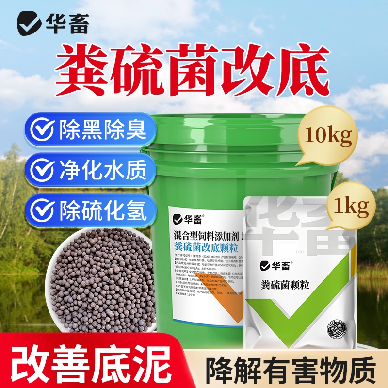 华畜粪粪硫菌改底颗粒水产养殖硫化氢氧化菌硫细菌底改王生物底改