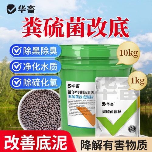 华畜粪粪硫菌水产养殖改底颗粒硫化氢氧化菌硫细菌底改王生物底改
