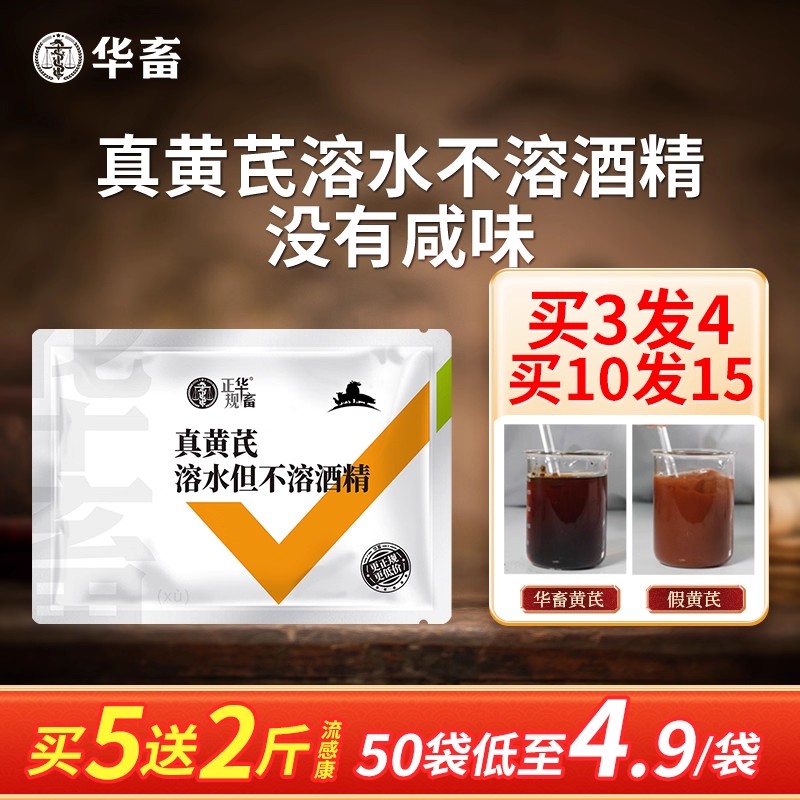 华畜真黄芪溶水不溶酒精增强免疫