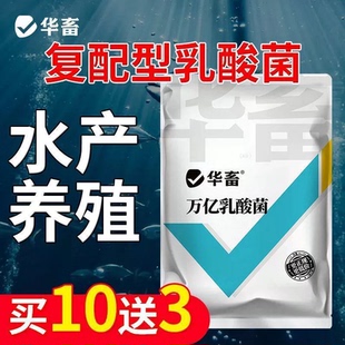 华畜万亿乳酸菌水产养殖专用复合芽孢杆菌原菌种虾蟹鱼用益生菌粉