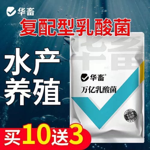 华畜万亿乳酸菌水产养殖专用复合芽孢杆菌原菌种虾蟹鱼用益生菌粉