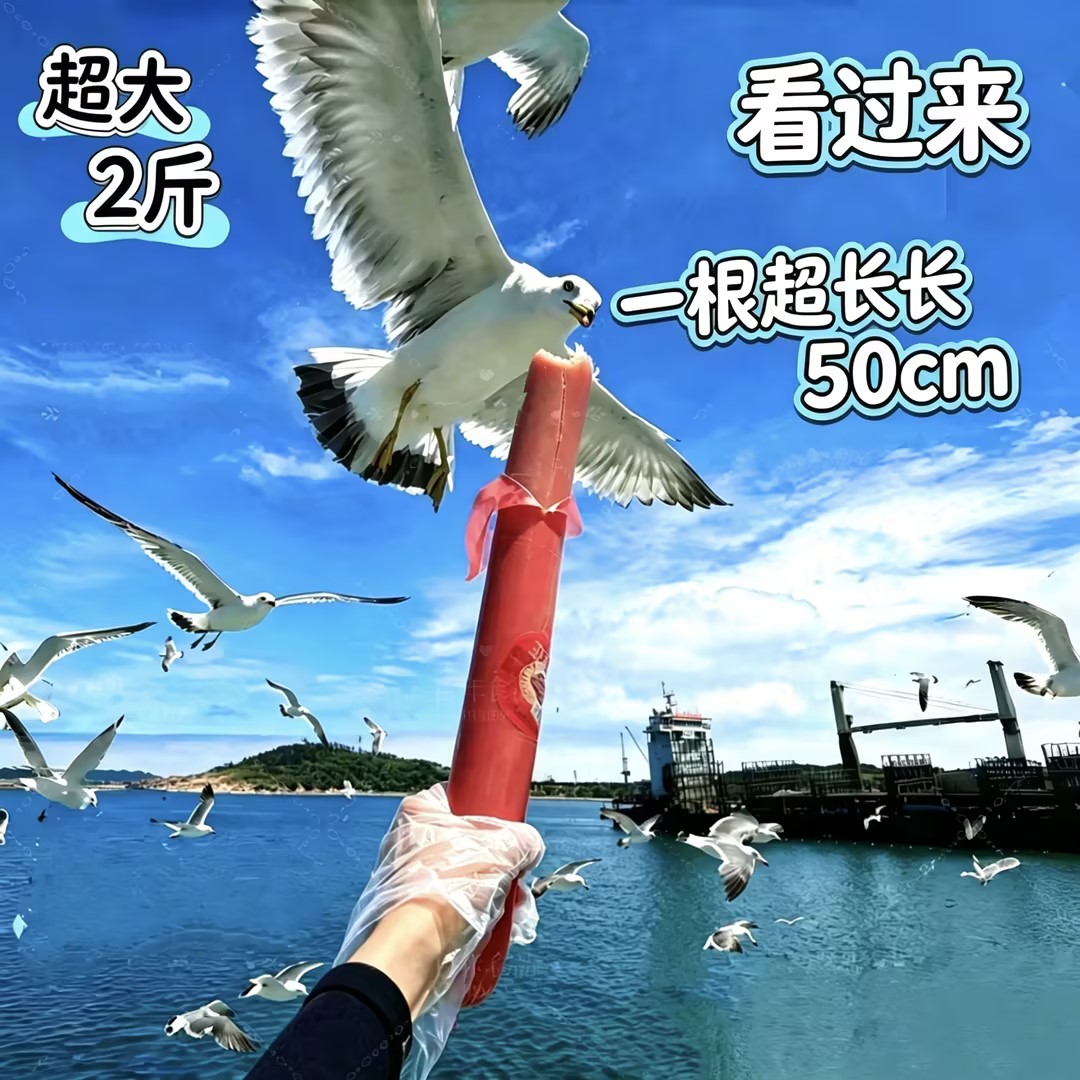 网红喂海鸥的火腿肠超大2斤海边威海大连旅游涮锅餐饮商用大火腿