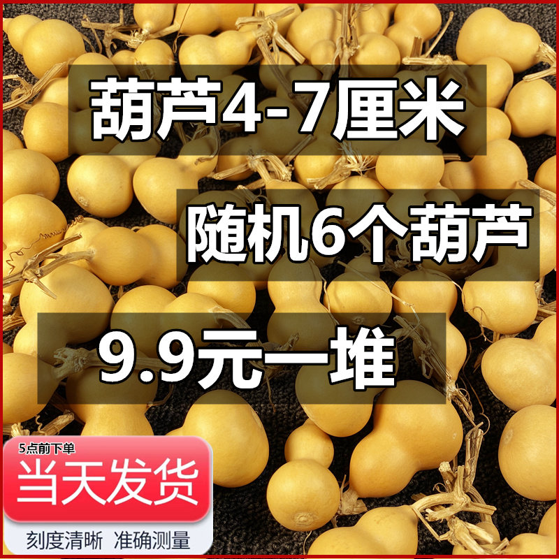 天然小葫芦手把件文玩摆件挂件胖墩烙画雕刻蚂蚁肚三庭八宝种子