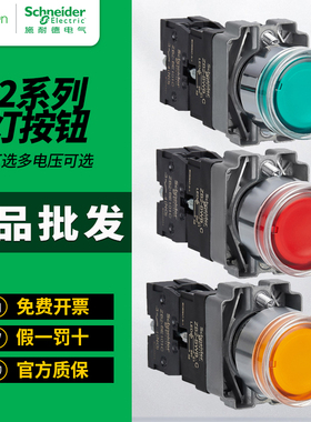 施耐德带灯按钮开关XB2BW33B1C自复位DC24V平钮XB2BW34M2C AC220V