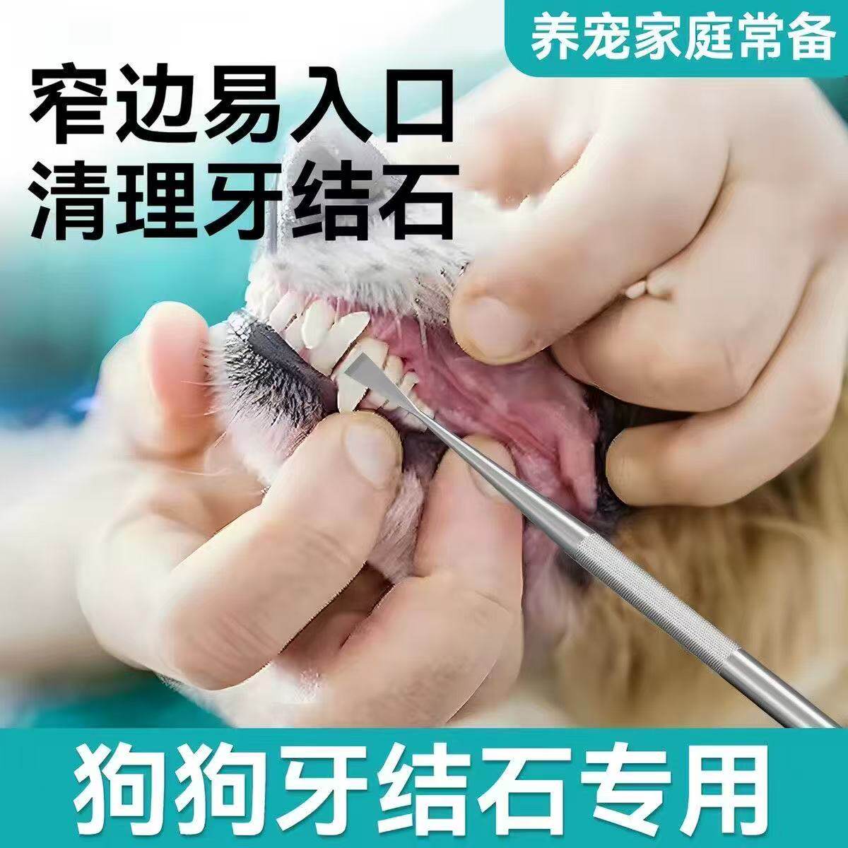 狗猫洁牙笔去牙结石牙垢凝胶