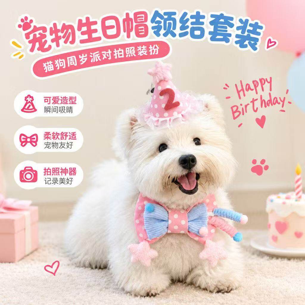 宠物生日蛋糕帽围兜领结套装