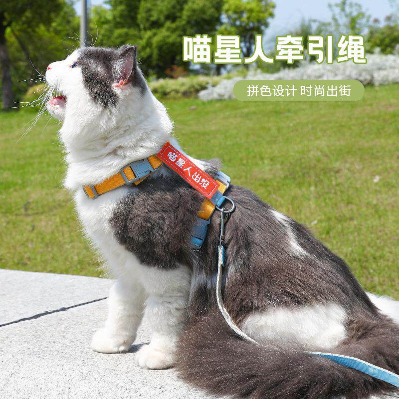 猫咪牵引绳专用四季溜猫遛猫绳防挣脱可调节猫绳子牵引猫拴猫绳链