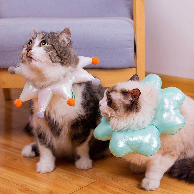 四叶草猫咪伊丽莎白圈软猫绝育脖圈防水狗宠物幼猫防舔项圈定制