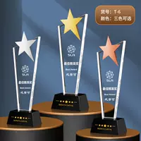 Почетные награды T6