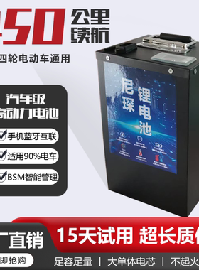 尼琛电动车磷酸铁锂电池48V60V72电摩宁德外卖专用二三四轮车电瓶