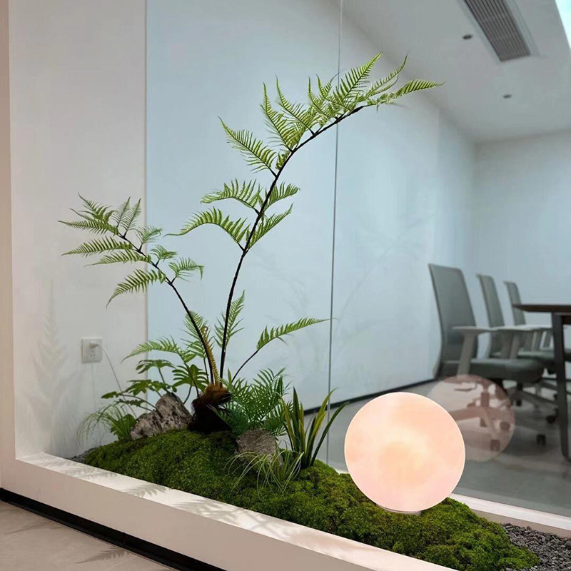 永生绿植景观金丝猴蕨造景