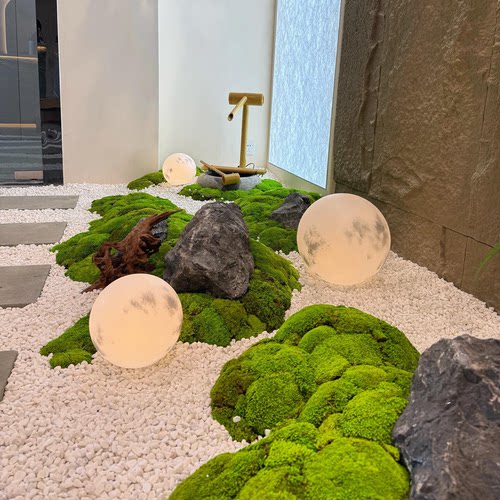 天然永生苔藓室内软装造景铺面