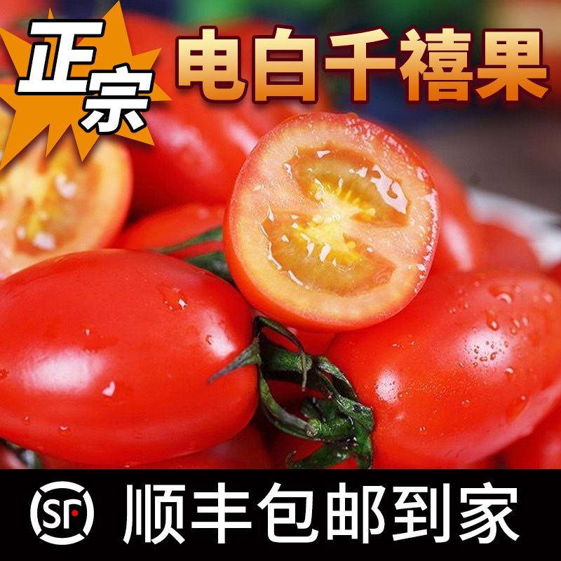 电白千禧小番茄圣女果新鲜水果西红柿4斤皮薄爆汁小樱桃顺丰包邮,水产肉类/新鲜蔬果/熟食,番茄,淘宝优惠券,粉丝福利购,淘宝优惠卷