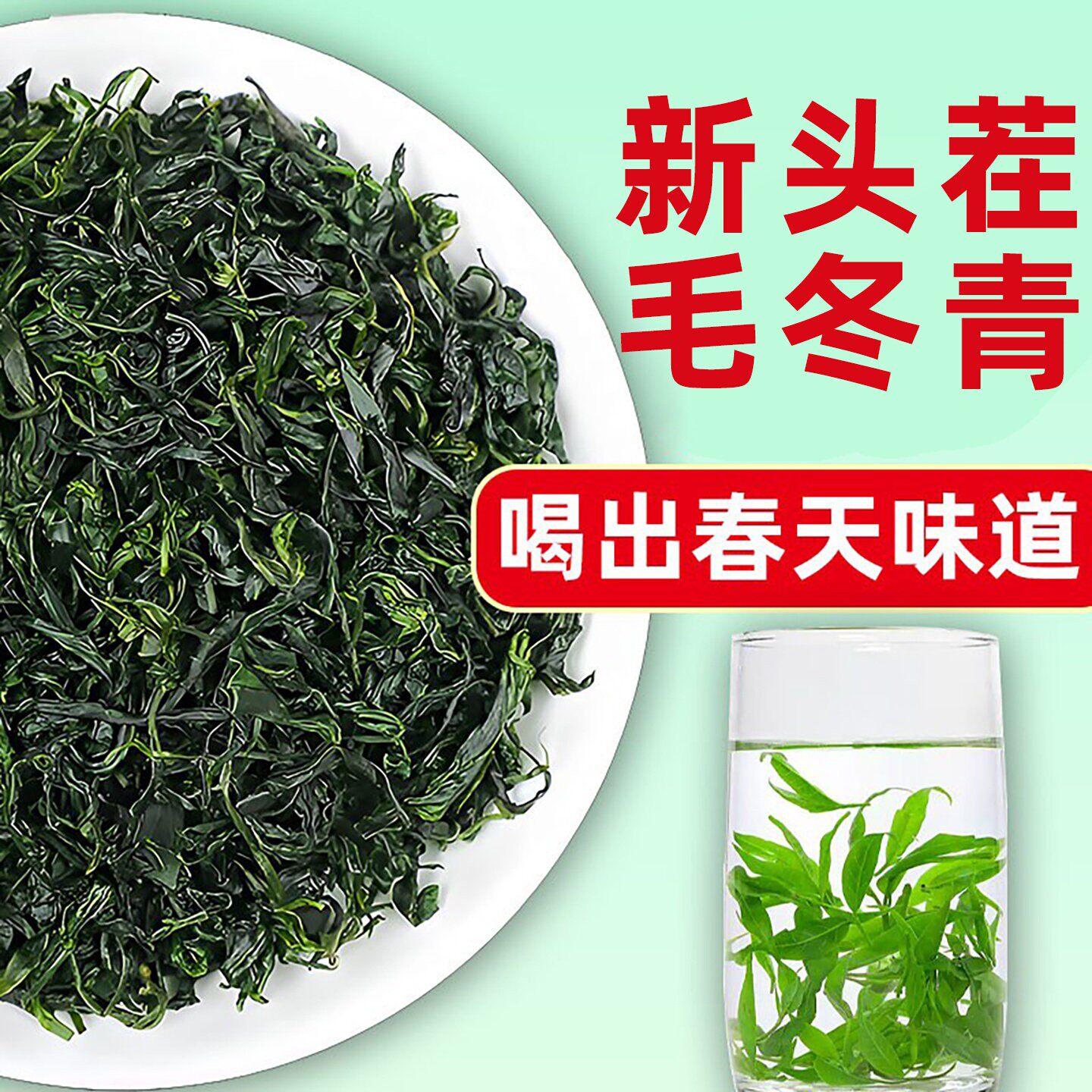 毛冬青云南毛冬青茶叶毛东清的功效中药材500g嫩芽青山绿水非野生