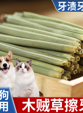 木贼草擦牙中药材长段干磨牙草打磨新鲜刷草长节节草乌贼草非野生