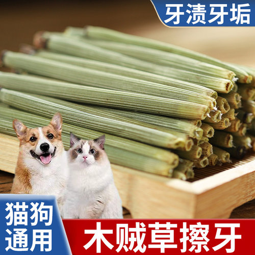 木贼草擦牙告别化学清洁