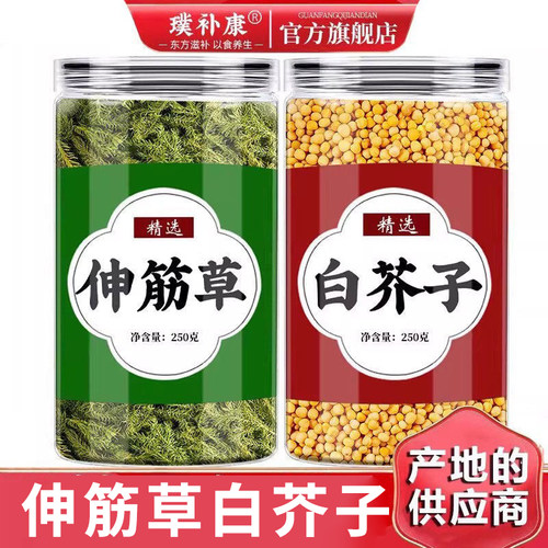 伸筋草白芥子组合茶腰腿舒适