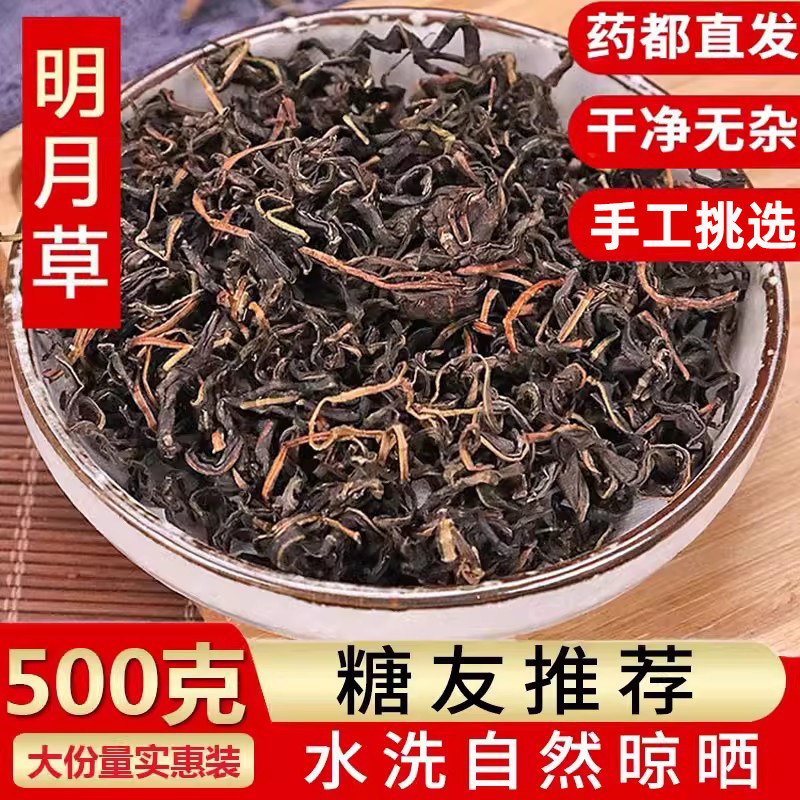 明月草中药材正品天然胰岛素明月茶干叶明月叶食用鸡毛菜的功效