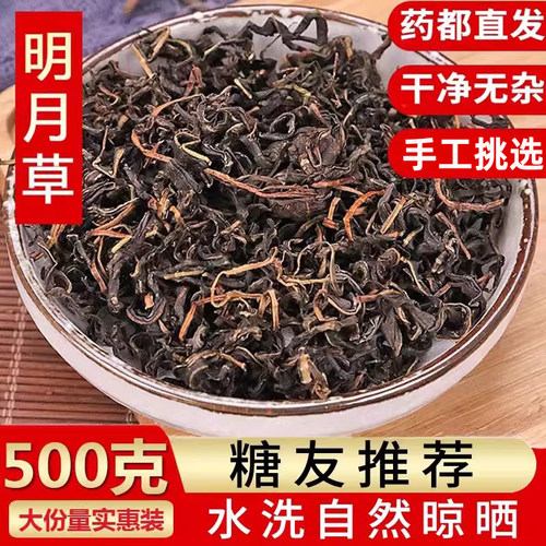 【正品明月草】干净手选新货