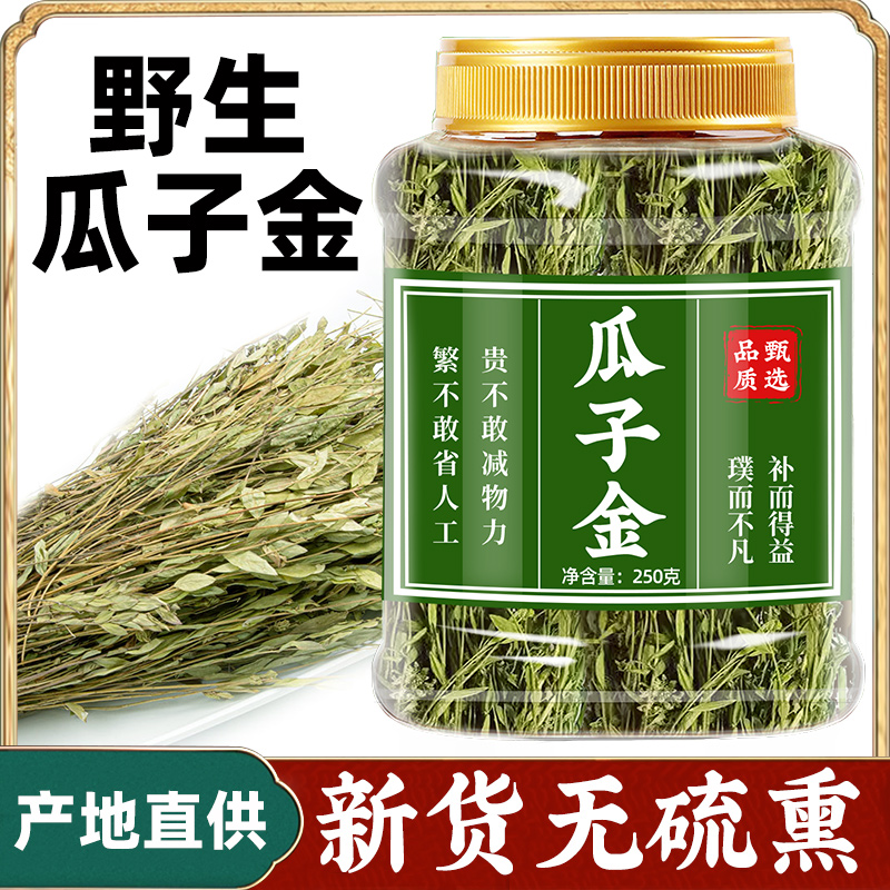 瓜子金干品新货无硫熏