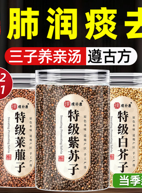 三子养亲汤莱菔子紫苏子白芥子各500g中药材散装中药炒三籽养亲汤