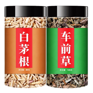 白茅根车前草茶包煮水中药材旗舰店新鲜干货钱茅根草袋泡茶的功效