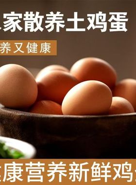 晋岳民红皮红壳鸡蛋农村新鲜散养儿童月子孕妇洋鸡蛋整箱包邮