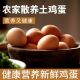晋岳民红皮红壳鸡蛋农村新鲜散养儿童月子孕妇洋鸡蛋整箱 包邮