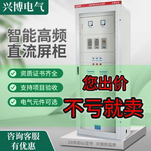 高低压柜配套GZDW 220V40AH65AH100AH直流屏 110V12AH20AH立柜款