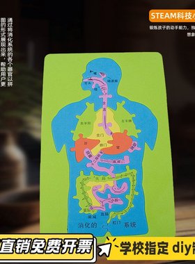 人体消化系统科技小制作发明手工DIY内脏拼图EVA模型益智科学KL38