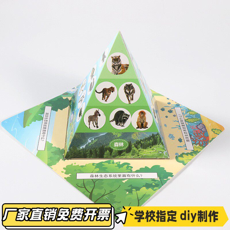diy食物链金字塔幼儿园创新手工科技儿童小学生材料包科学小VB28