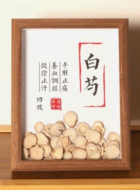 中药标本展示墙中医中药材装饰画中草药标本相框中医文化墙展T196