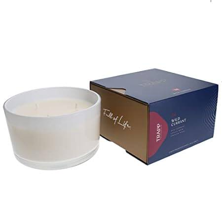 Trapp - No. 24 Wild Currant - 16 oz. 3-Wick Candle - Arom