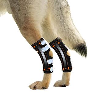 NeoAlly? with Strips Brace Spring Hock Leg Rear Metal
