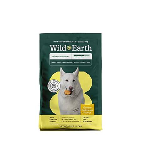 Wild Earth Vegan Dry Dog Food | Plant-Based Maintenance F